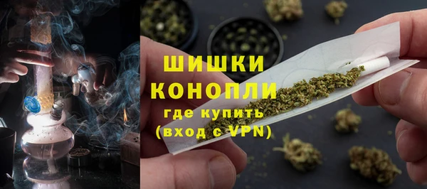 прущий лед Богданович
