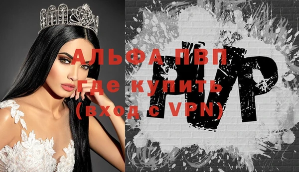 прущий лед Богданович