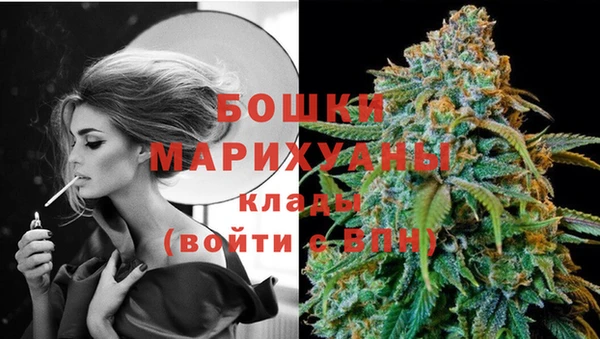 гидропоника Богородск