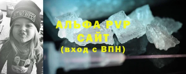 прущий лед Богданович