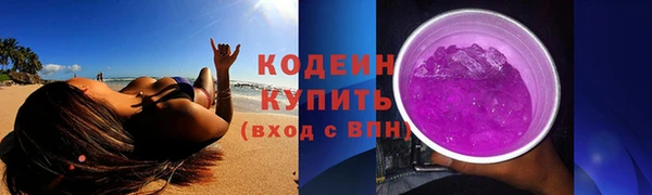 прущий лед Богданович