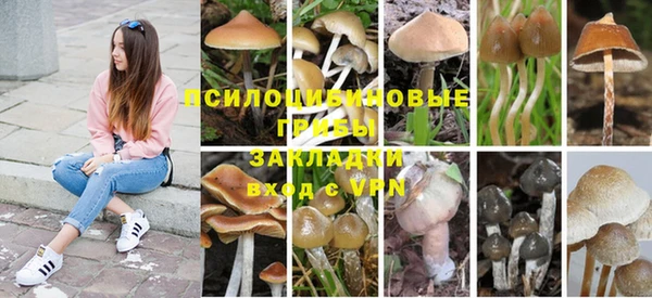 прущий лед Богданович