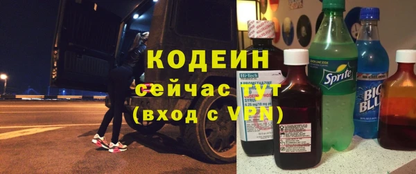 прущий лед Богданович