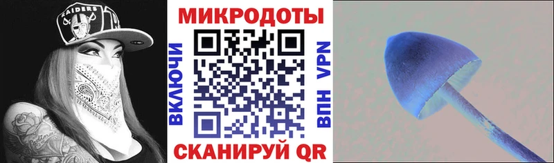 даркнет сайт  Стерлитамак  omg tor  Галлюциногенные грибы MAGIC MUSHROOMS 